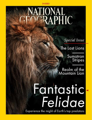 Mock National Geographic Cover